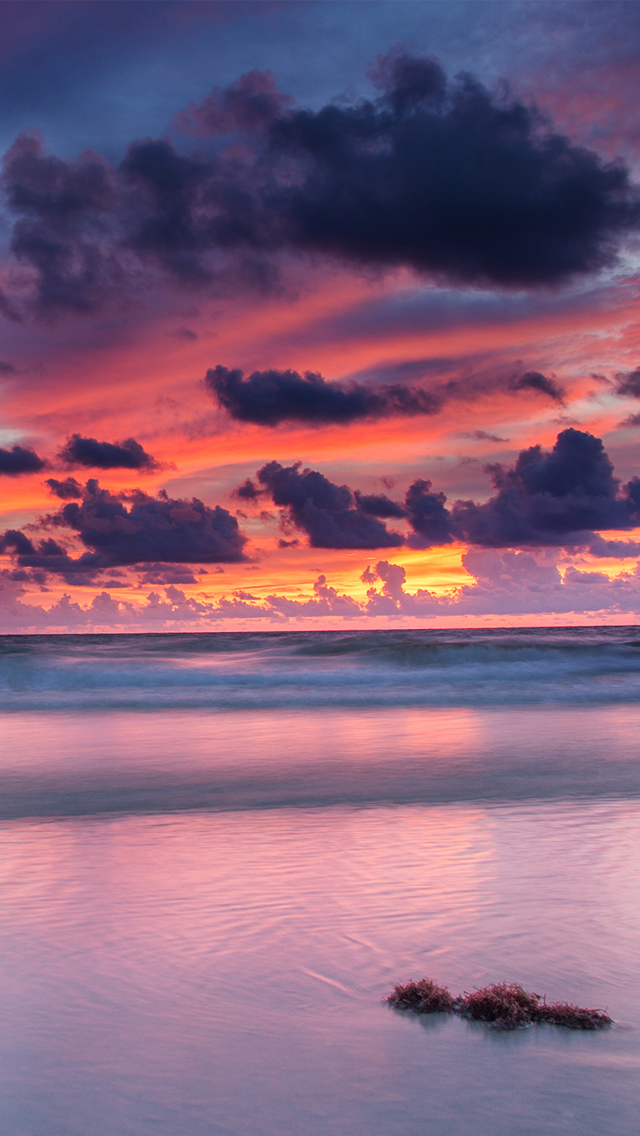 Florida Sunset by Matt Aceino | dsktps
