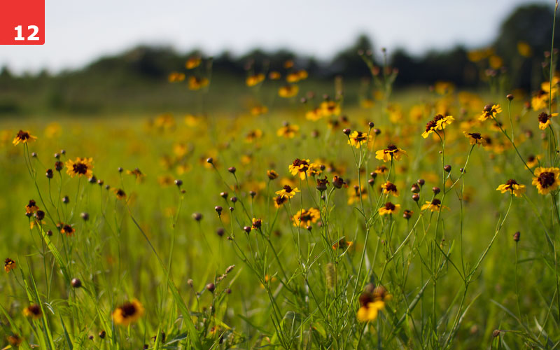 Once in a Golden Hour by Erin Slonaker