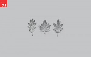 3 Leaves by Virginia Poltrack