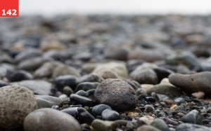 On the Rocks by Erin Slonaker