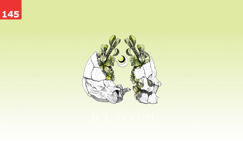 Bloom by Laurel Barickman