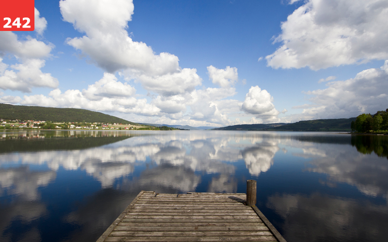 Reflective by Erin Slonaker