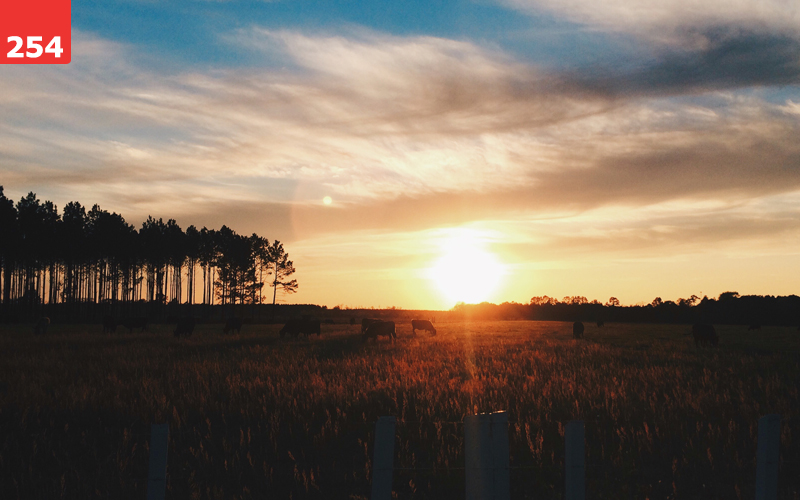 Rustic Sunset by Teresa Maree