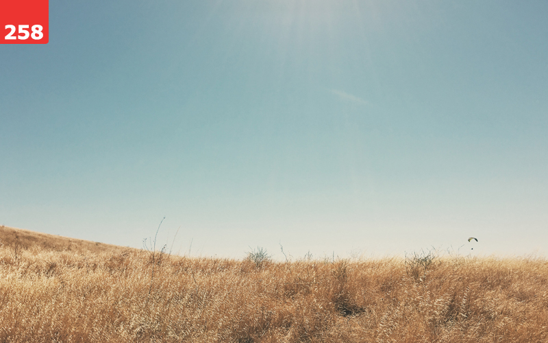 Mission Peak by Brandon P. Turner