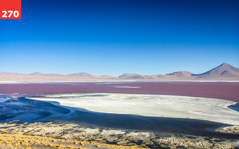 Red Lagoon by Holly Ruck