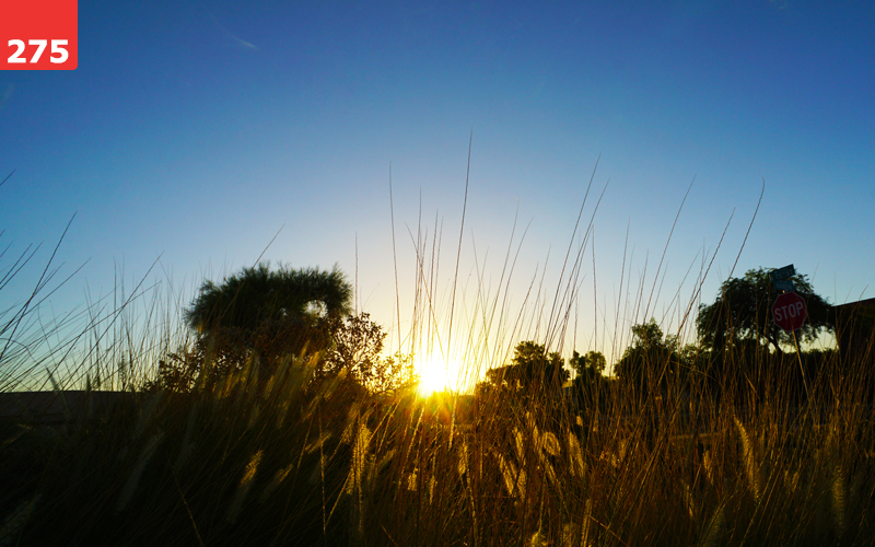 Morning Rise by Eric Krieger