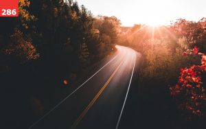 Road to Cadillac Mountain by Andy Feliciotti