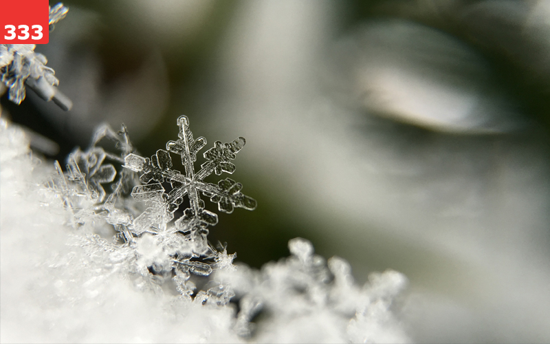 Snowflake by Aaron Burden